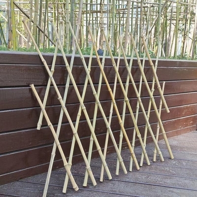 Tiang Bambu yang Dapat Diperluas Pagar Taman Teralis Fleksibel Untuk Dekorasi Balkon 120 * 180cm