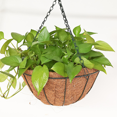Penanaman Gambut Kelapa Gantung Outdoor Metal Wire Baskets Dengan Coco Liner Gantung Pot Untuk Tanaman Dalam Ruang