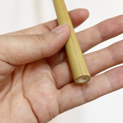 Tiang Bambu Baris Moso Tebu Taruhan Tongkat Pertanian Mendukung Dekorasi Berkebun