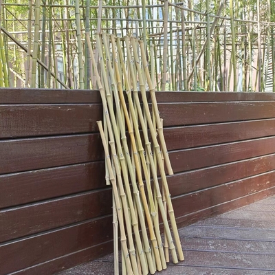Tiang Bambu yang Dapat Diperluas Pagar Taman Teralis Fleksibel Untuk Dekorasi Balkon 120 * 180cm