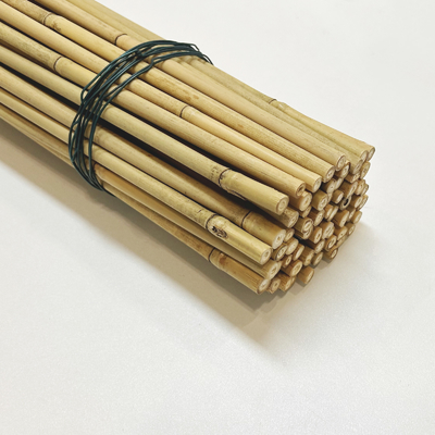 Tongkin Bamboo Cane for Plants Grow Support Custom Size Bamboo Stick