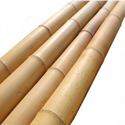Tiang Bambu Kuat – Sempurna untuk Proyek DIY, Penyangga, dan Dekorasi