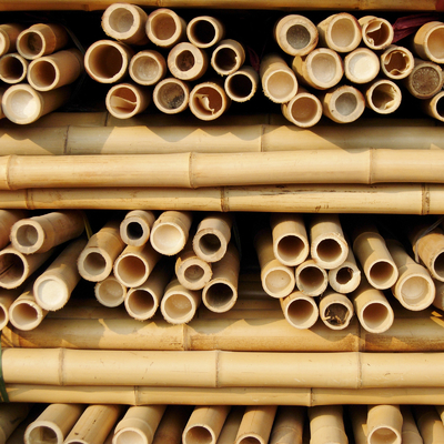 Tiang Bambu Kuat – Sempurna untuk Proyek DIY, Penyangga, dan Dekorasi