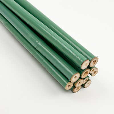 Custom Green PVC Coated Bamboo Treated Flower Support Tongkin Bamboo Plastic Tube Pole