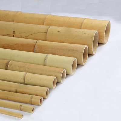Harga Grosir Natural Moss Plant Pole Moss Stick Untuk Menekuk Tanaman Moss Pole Dukungan