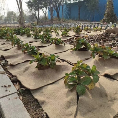 Mat Tanaman Jute Alami Pelindung Ramah Lingkungan untuk Tanaman Pot, Dekorasi Taman, Percambahan Benih